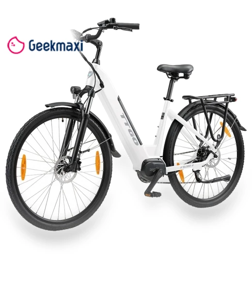 Electric Bike — Electric Self-Balancing Scooters, TTGO