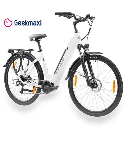 Electric Bike — Electric Self-Balancing Scooters, TTGO