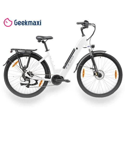 Electric Bike — Electric Self-Balancing Scooters, TTGO