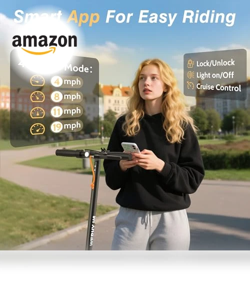 Foldable Electric Scooter — Electric Self-Balancing Scooters, WERHY