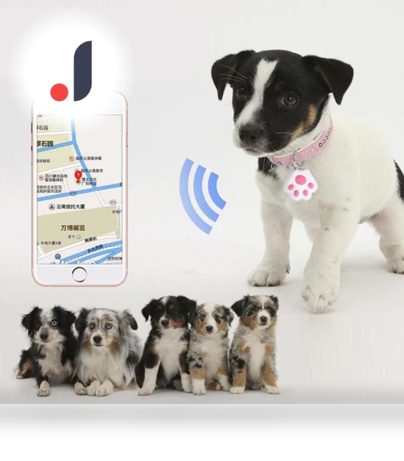 Bluetooth Anti-Loss Smart Keychain — Item Locators, G KE