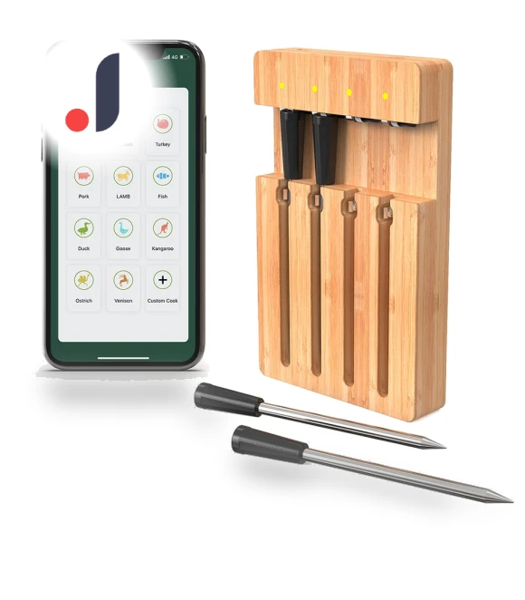 Wireless Meat Thermometer with Smart APP Control — Grill Thermometers, Neoglint
