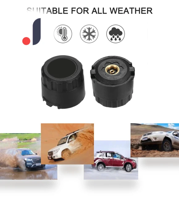 Wireless Tire Pressure Monitoring System — TPMS Sensor Replacements, Zeblaze
