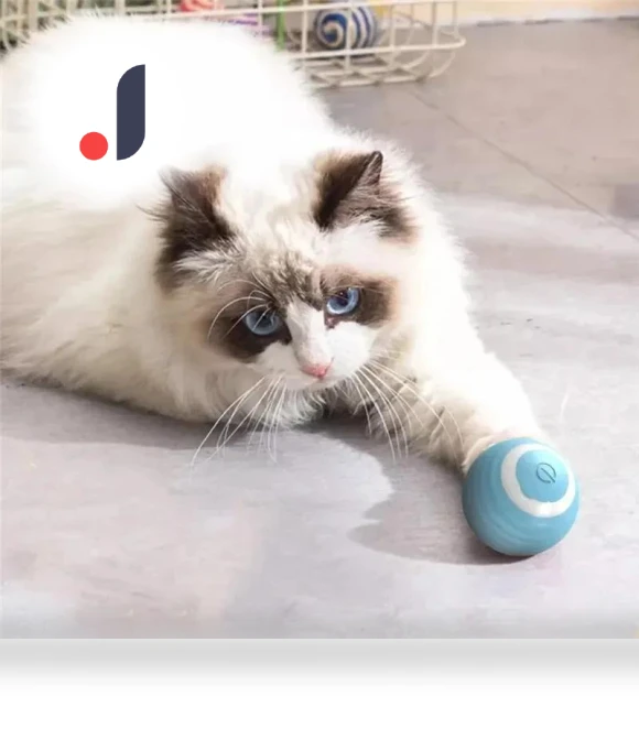 Interactive Ball Smart Cat Toys Indoor Automatic Rolling Magic Ball — Balls, AE Selection