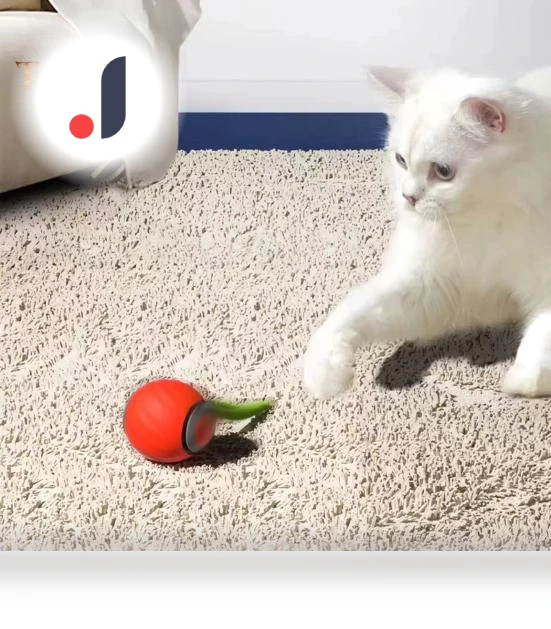 Interactive Rolling Toy for Cats — Cat Playthings, Vogue Wardrobe