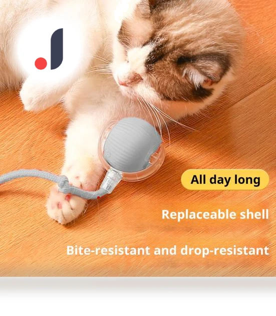 Interactive Cat Toy Ball — Cat Playthings, Love Pet House