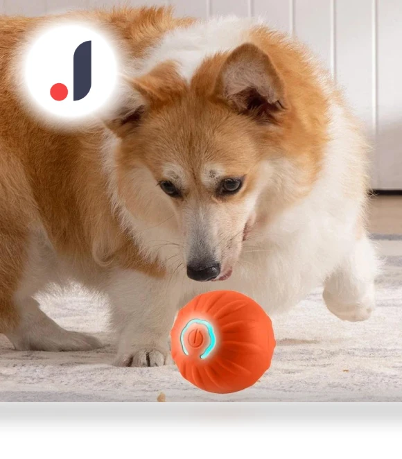 Interactive Pet Toy — Balls, Super Dream Home
