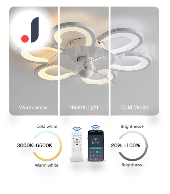 Smart Remote Control Ceiling Fan with LED Lighting — Ceiling Fans, Rainbow Rain