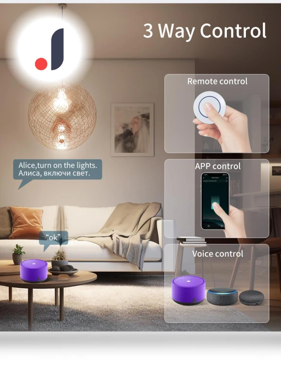WiFi Smart Switch 16A RF 433Mhz — Smart Home Modules, Rainbow Rain