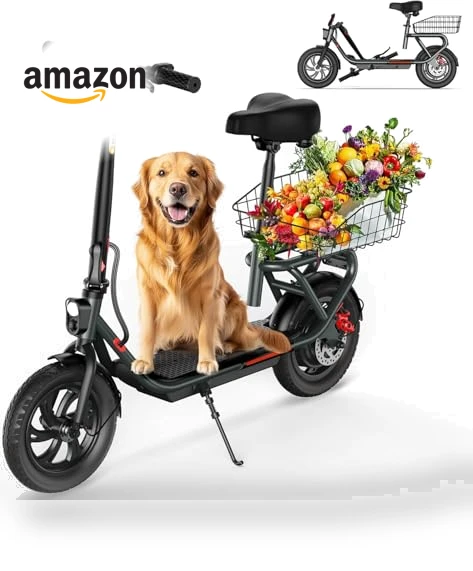 Electric Scooter with Seat — Electric Self-Balancing Scooters, SISIGAD