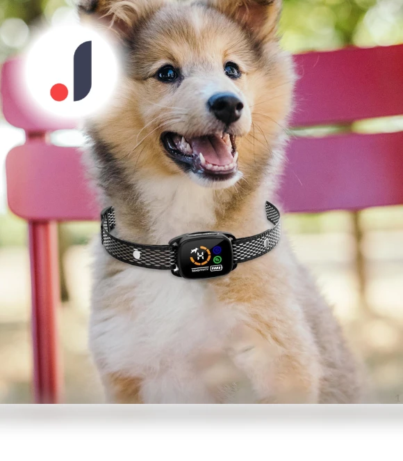 Smart Anti-Bark Collar for Dogs — Anti-Bark Training Devices, Colorful summer