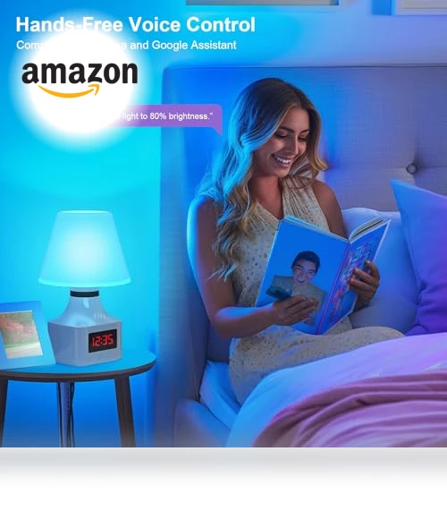 Smart Light Bulbs 2 Pack — LED, FRIDEKO HOME