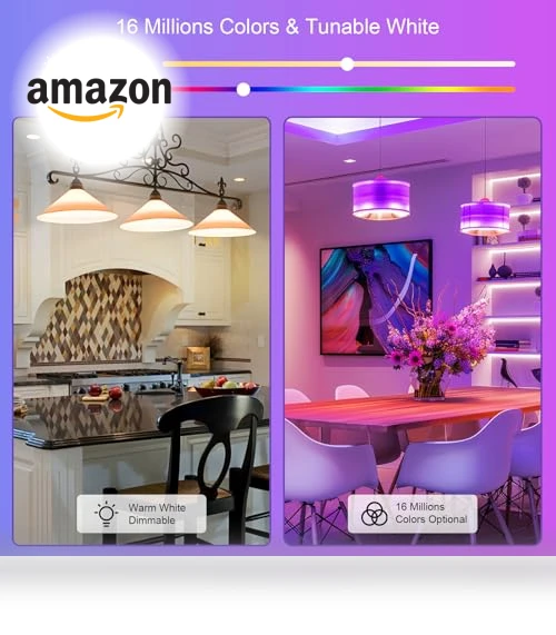Smart Light Bulbs 2 Pack — LED, FRIDEKO HOME