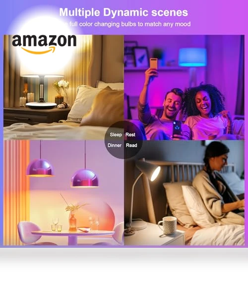 Smart Light Bulbs 2 Pack — LED, FRIDEKO HOME