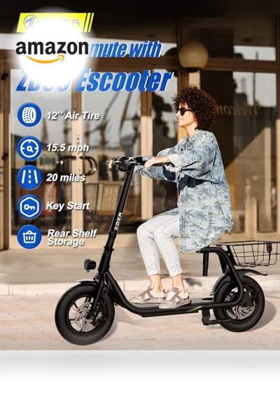 Electric Scooter with Seat — Electric Self-Balancing Scooters, ZDZA