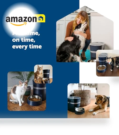 Electronic Pet Feeder — Automatic Feeders, PetSafe