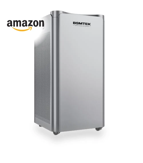 Large Room Air Purifier — Activated Carbon Air Purifiers, BSMTEK