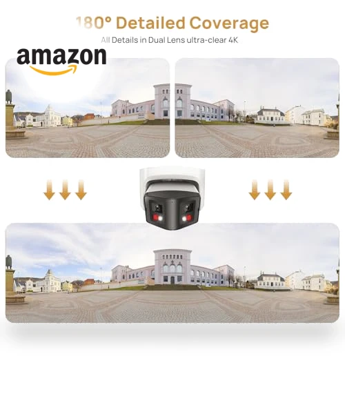 Dual-Lens PoE Security Camera — Security Cameras, PANOEAGLE