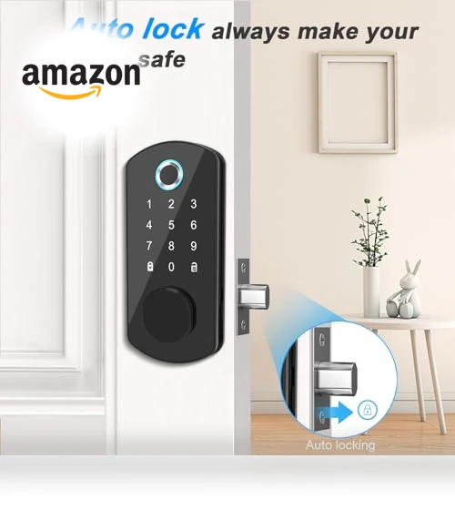 Keyless Entry Door Lock — Locks, Goluckog