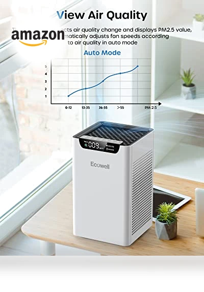 Air Purifier for Home Large Room — Activated Carbon Air Purifiers, ECOWELL