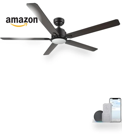 Smart Ceiling Fan with Lights — Ceiling Fan Wall Controls, CEME