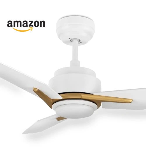 Smart Ceiling Fan with Lights — Ceiling Fan Wall Controls, SMAFAN