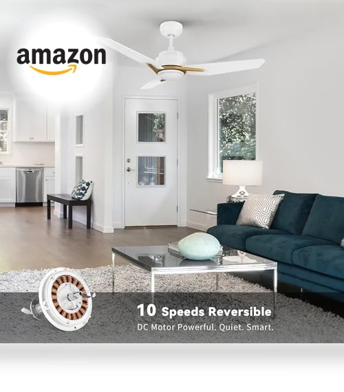 Smart Ceiling Fan with Lights — Ceiling Fan Wall Controls, SMAFAN