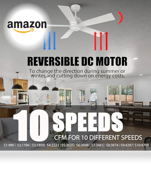 Smart Ceiling Fan with Lights — Ceiling Fans & Accessories, CEME