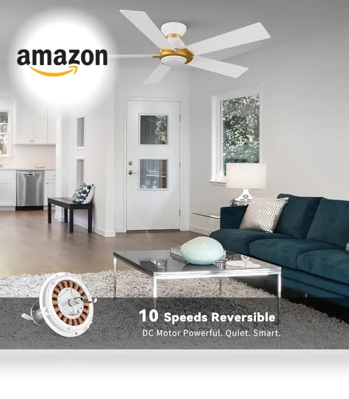 Smart Ceiling Fans with Lights Flush Mount — Ceiling Fan Wall Controls, SMAFAN