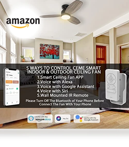 Smart Flush Mount Ceiling Fan with Lights — Ceiling Fan Wall Controls, CEME
