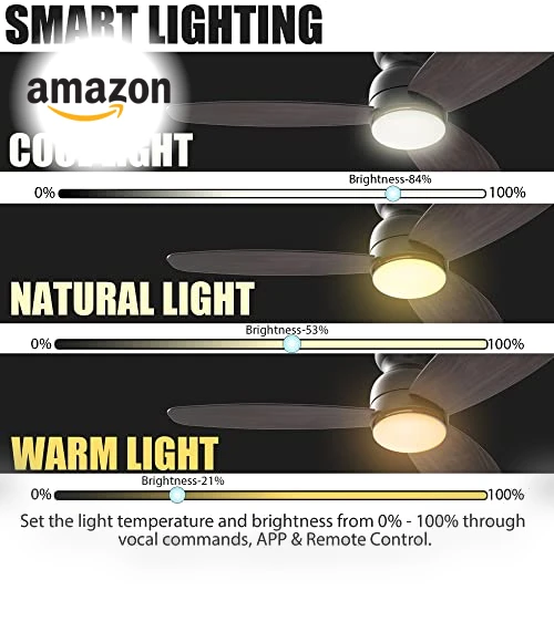 Smart Flush Mount Ceiling Fan with Lights — Ceiling Fan Wall Controls, CEME