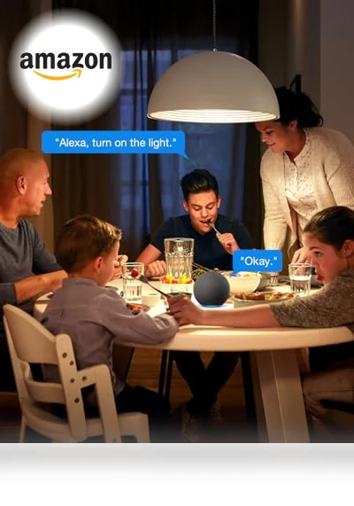 Smart Light Switch with Bluetooth Remote — Smart Home Modules, Shenzhen Avatar Controls Co., Ltd