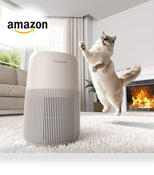 Air Purifier for Home Pets & Bedroom — Activated Carbon Air Purifiers, Provirtec