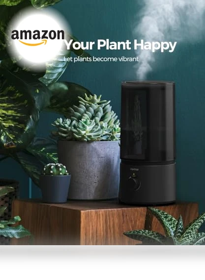 Cool Mist Humidifier — Air Moisturizers, raydrop