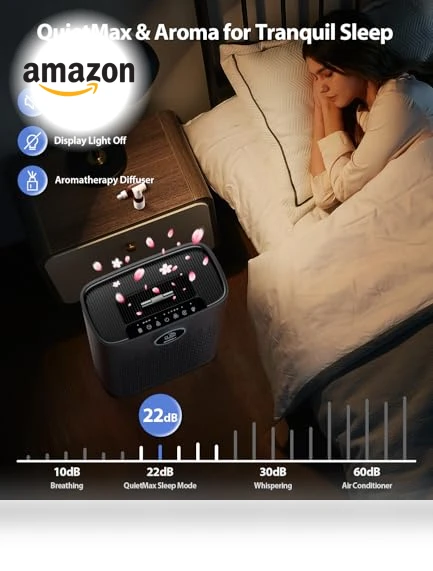 Large Room Air Purifier with Smart Mode — Activated Carbon Air Purifiers, ECOSELF