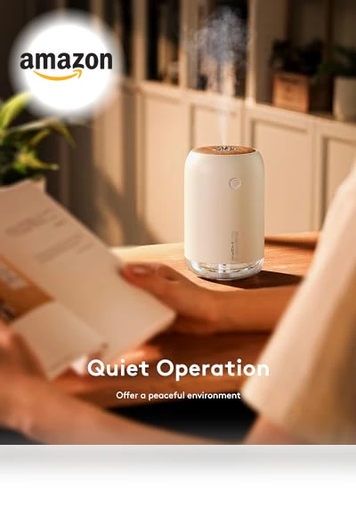 Small Humidifier — Air Moisturizers, SMARTDEVIL
