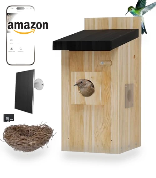 Smart Bird House with Camera — Outdoor & Wildlife Cameras, Hiyiton