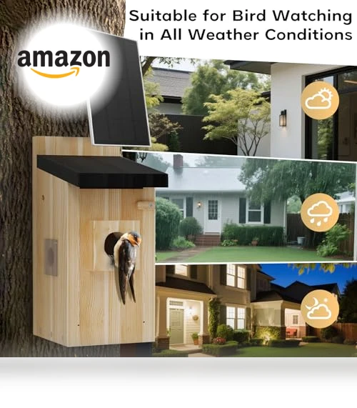 Smart Bird House with Camera — Outdoor & Wildlife Cameras, Hiyiton