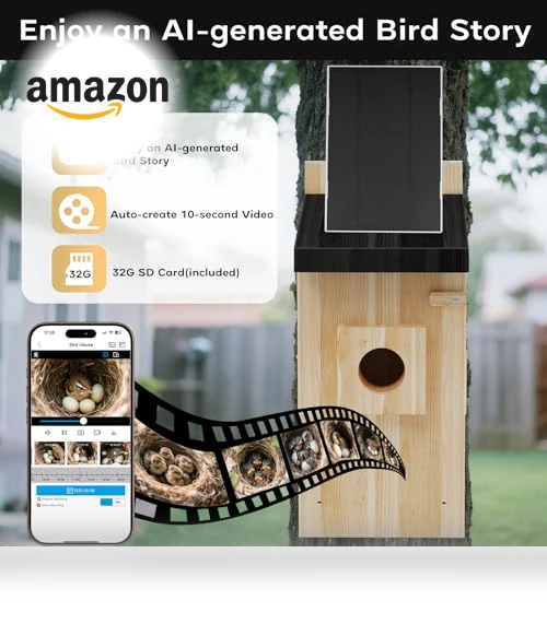 Smart Bird House with Camera — Outdoor & Wildlife Cameras, Hiyiton