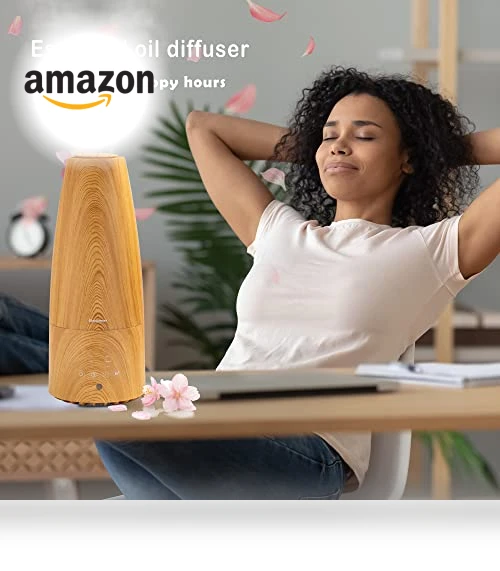 Warm and Cool Mist Ultrasonic Humidifier — Air Moisturizers, Elecameier