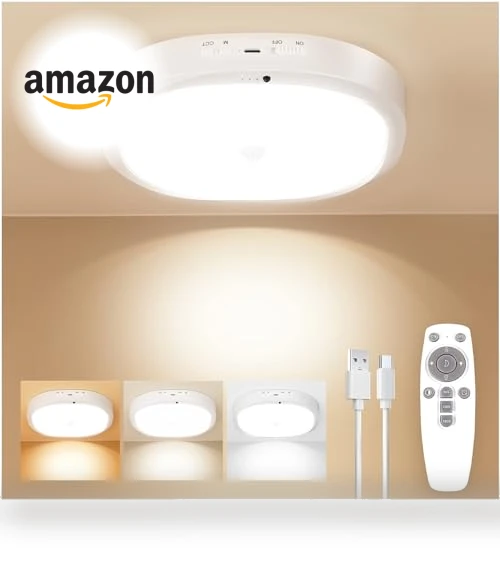 Rechargeable Motion Sensor Ceiling Light — Garden Illumination, KNHUOS
