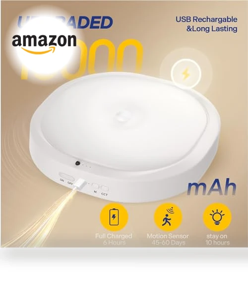 Rechargeable Motion Sensor Ceiling Light — Garden Illumination, KNHUOS