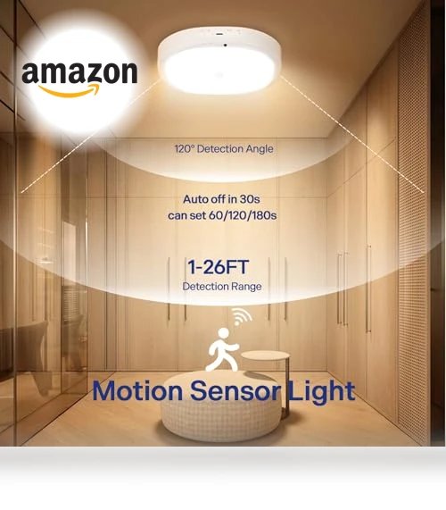 Rechargeable Motion Sensor Ceiling Light — Garden Illumination, KNHUOS
