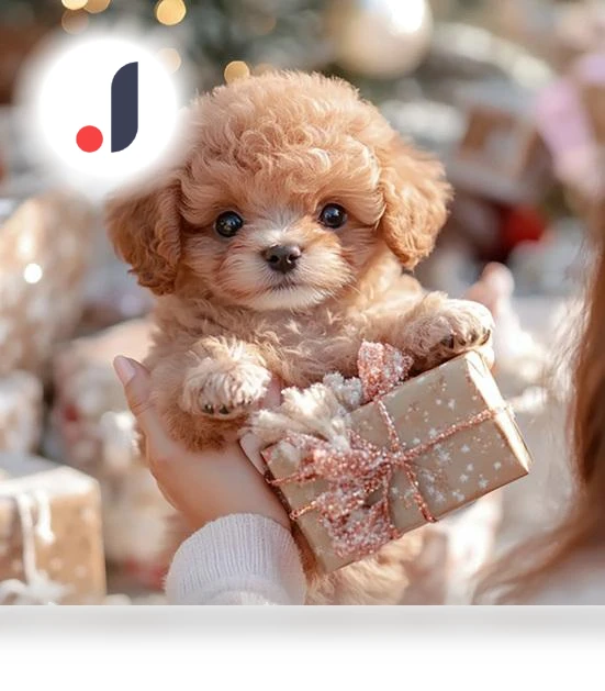 Robotic Dog — Interactive Animal Companions, Skin & Sun Care