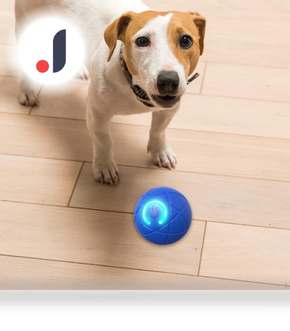 Automatic Moving Smart Ball Dog Toy — Automatic Launchers, SunshineTek
