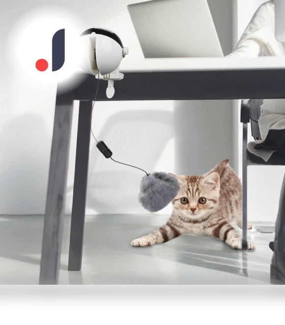 Interactive Cat Toy Puzzle — Cat Playthings, Modern Home Furnishing