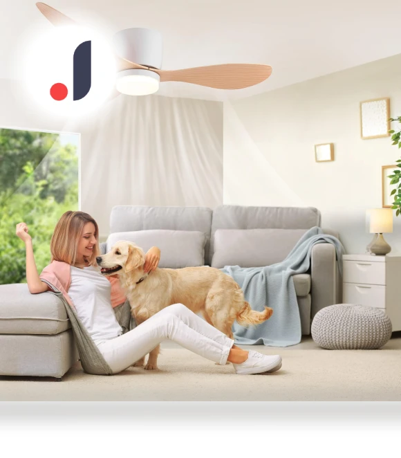 Modern Silent Ceiling Fan with Light — Ceiling Fan Lighting Solutions, Luminaire Lighting Mall