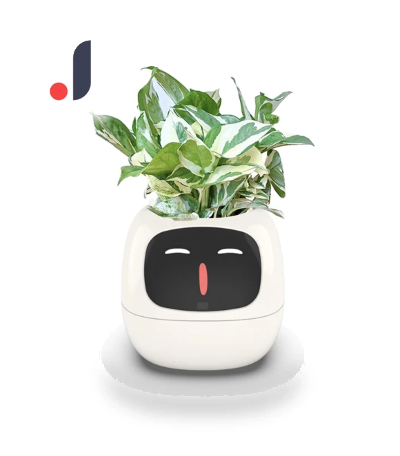 Smart Care Smart LED — Vases, Premium SPEED