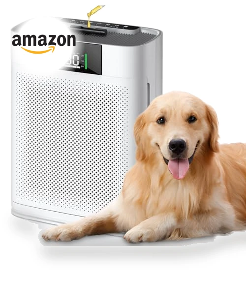 Air Purifier for Large Room — HEPA Air Purifiers, Honeyuan