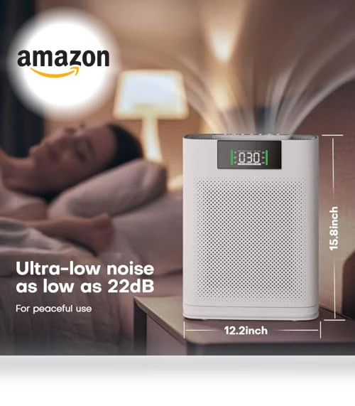 Air Purifier for Large Room — HEPA Air Purifiers, Honeyuan